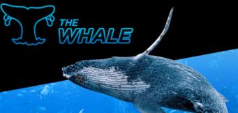 888poker afholder $500K Super Whale!