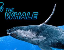 888poker afholder $500K Super Whale!